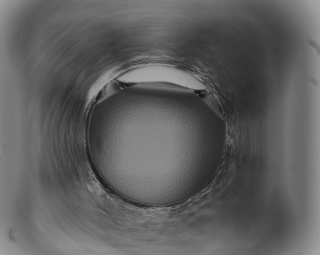 X0000099380004200805221817