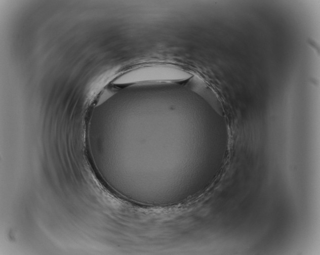 X0000099380005200805221817