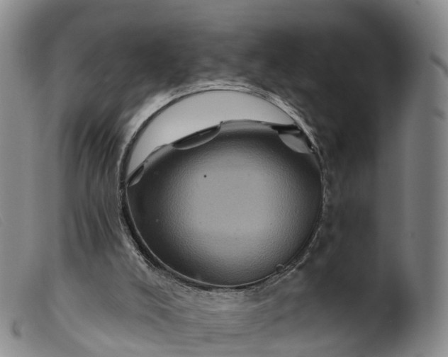 X0000099380008200805221817