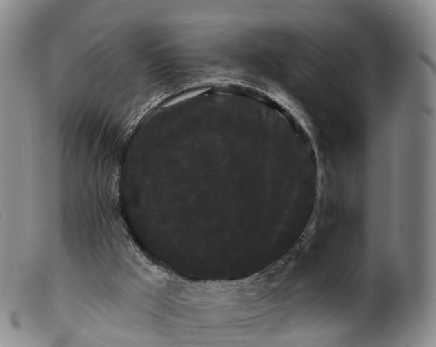 X0000099380009200805221817