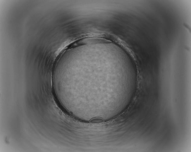 X0000099380011200805221817