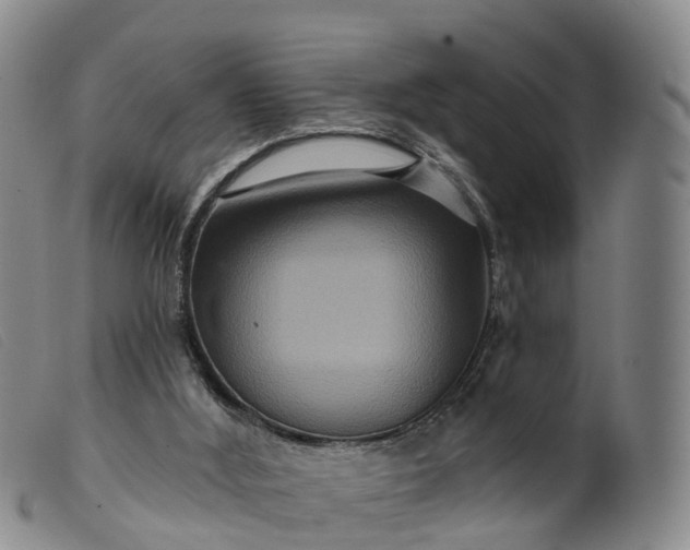 X0000099380012200805221817