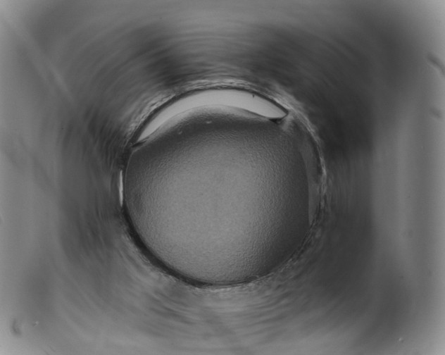 X0000099380013200805221817