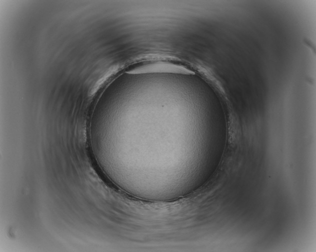 X0000099380015200805221817