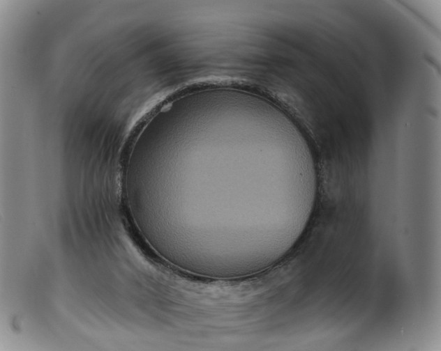 X0000099380016200805221817