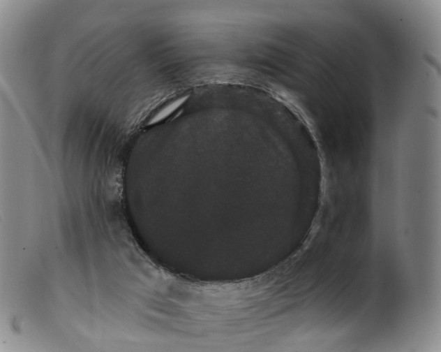 X0000099380017200805221817