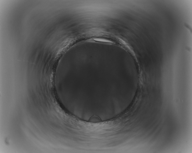 X0000099380018200805221817