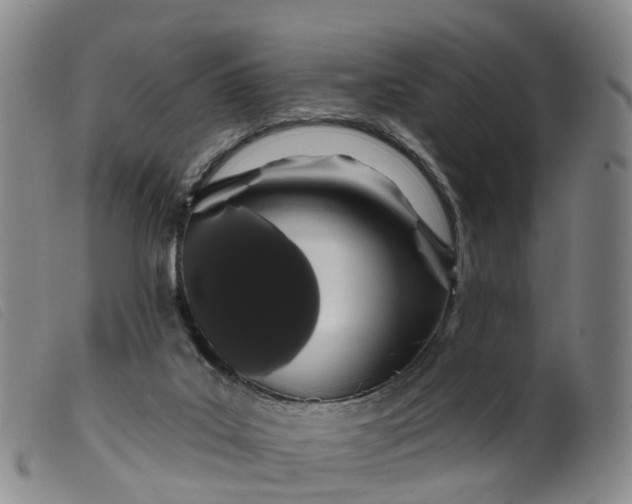 X0000099380019200805221817