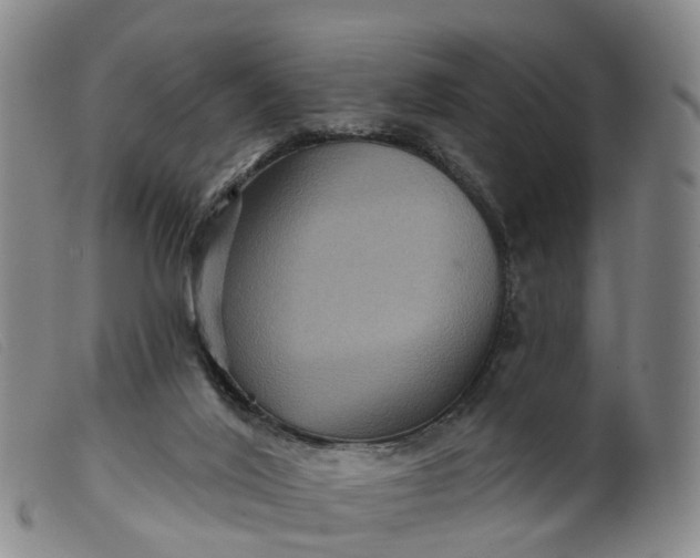 X0000099380020200805221817