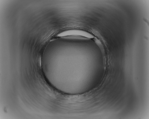 X0000099380021200805221817