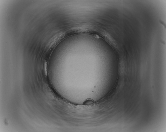 X0000099380022200805221817