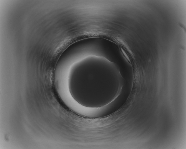 X0000099380023200805221817