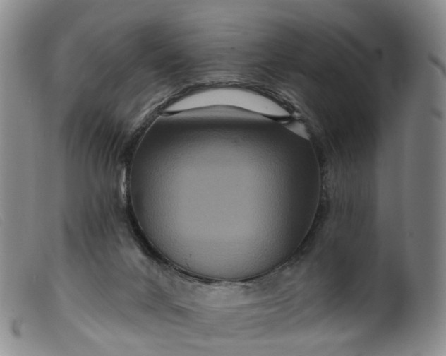 X0000099380024200805221817