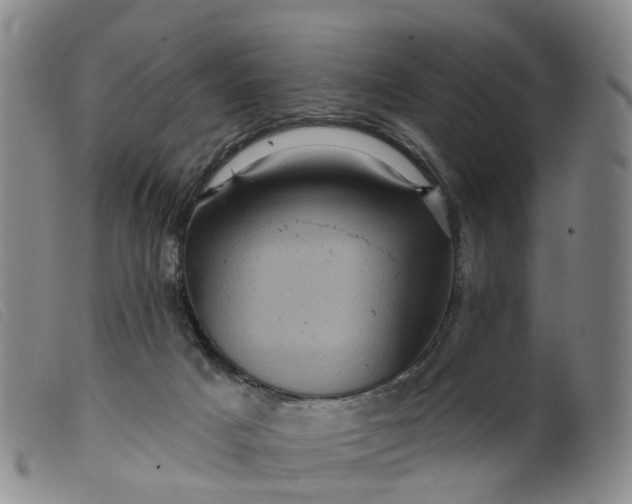 X0000099380025200805221817