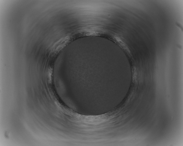 X0000099380026200805221817