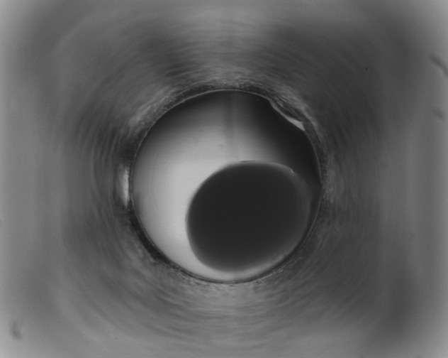 X0000099380027200805221817