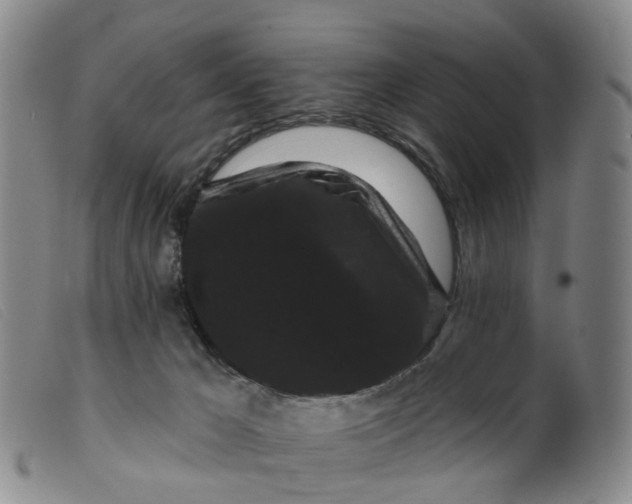 X0000099380029200805221817