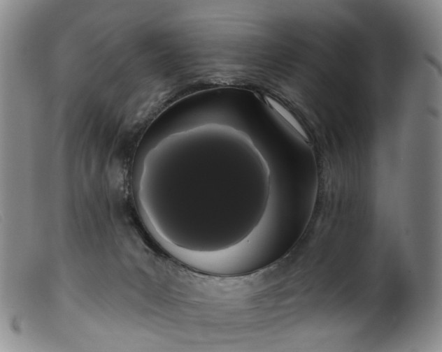 X0000099380031200805221817