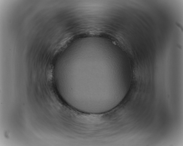 X0000099380032200805221817