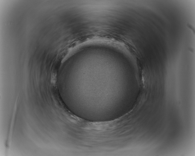 X0000099380033200805221817