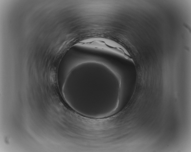 X0000099380035200805221817