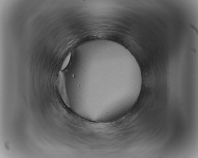 X0000099380036200805221817