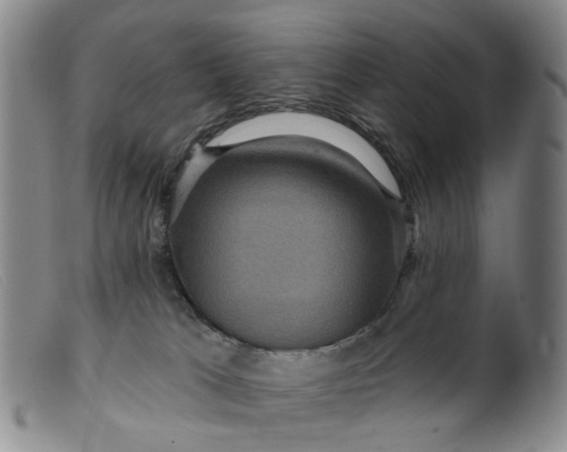 X0000099380037200805221817