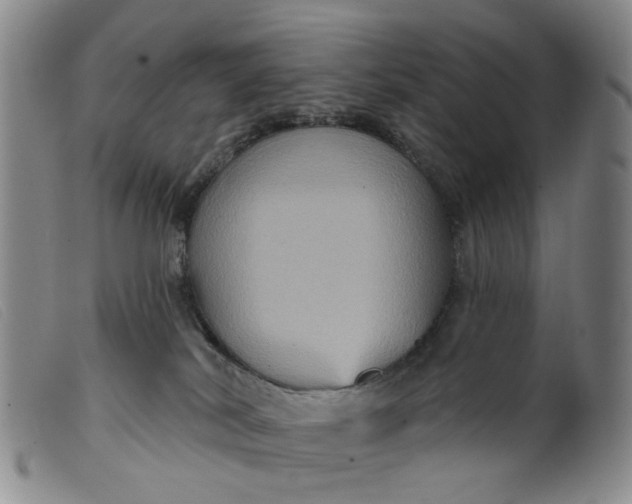 X0000099380038200805221816