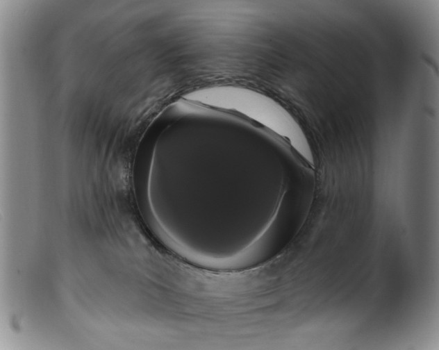 X0000099380039200805221816