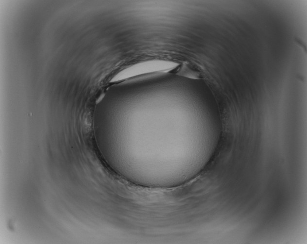 X0000099380040200805221816