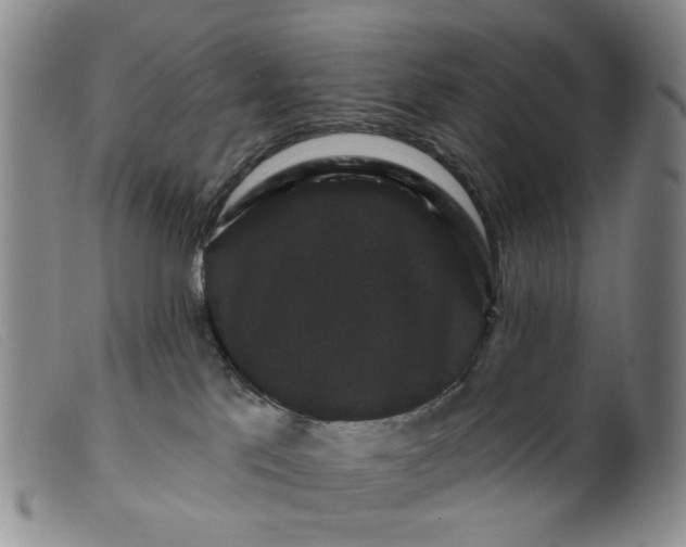 X0000099380041200805221816