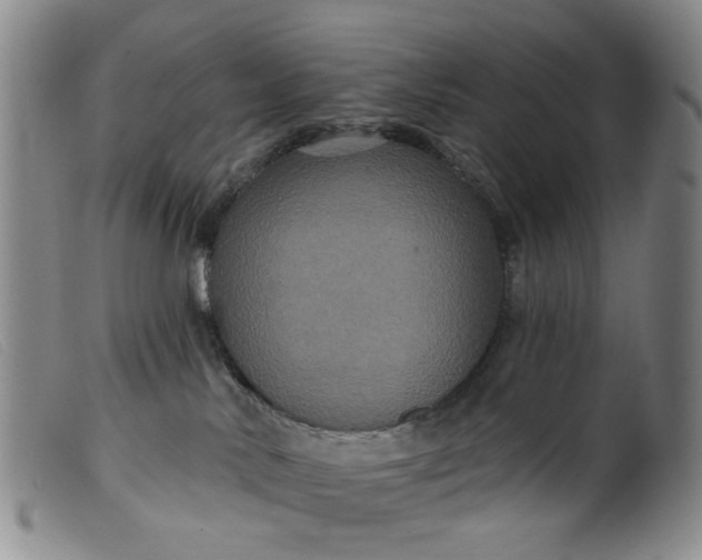 X0000099380042200805221816