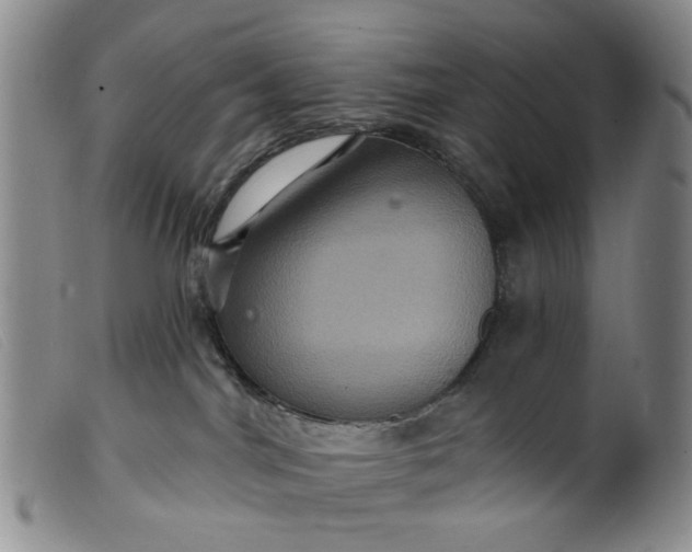 X0000099380044200805221816