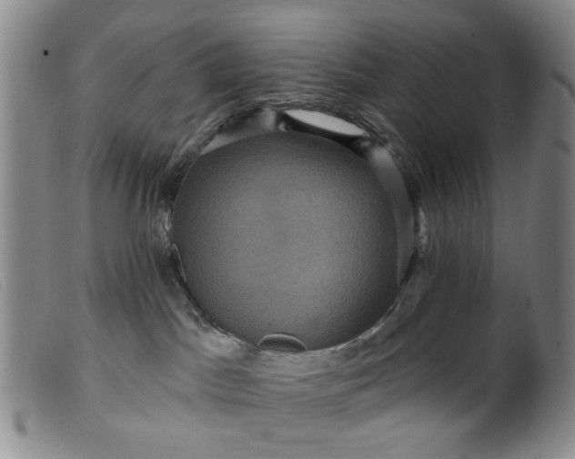 X0000099380045200805221816