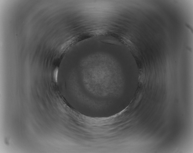 X0000099380047200805221816