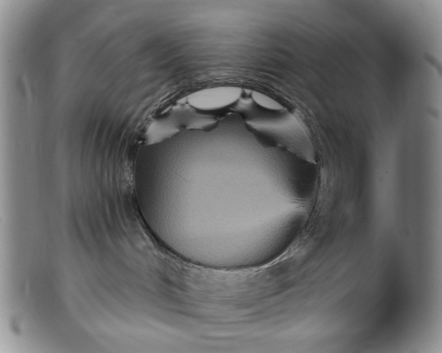 X0000099380048200805221816