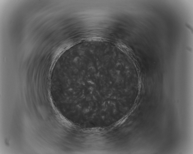 X0000099380049200805221816