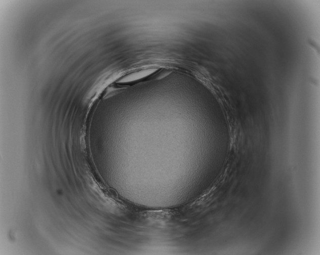 X0000099380050200805221816