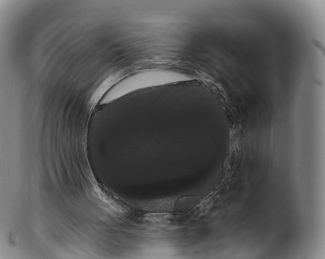 X0000099380051200805221816