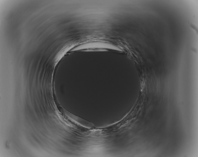 X0000099380052200805221816