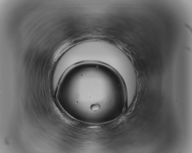 X0000099380053200805221816