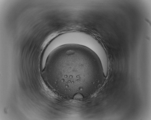 X0000099380054200805221816