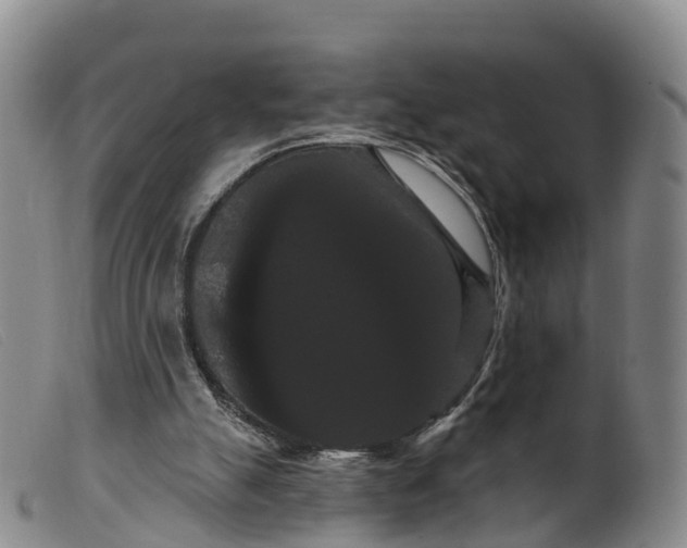 X0000099380055200805221816