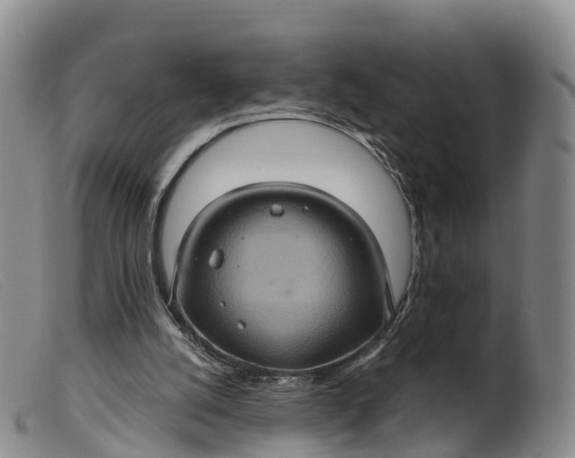 X0000099380056200805221816