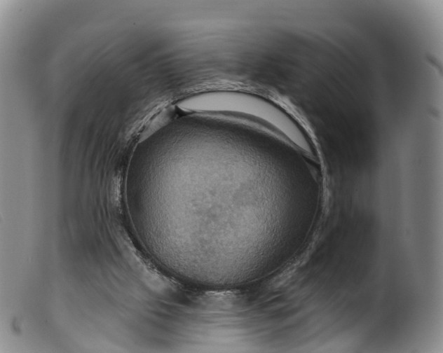 X0000099380057200805221816