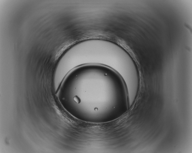 X0000099380058200805221816