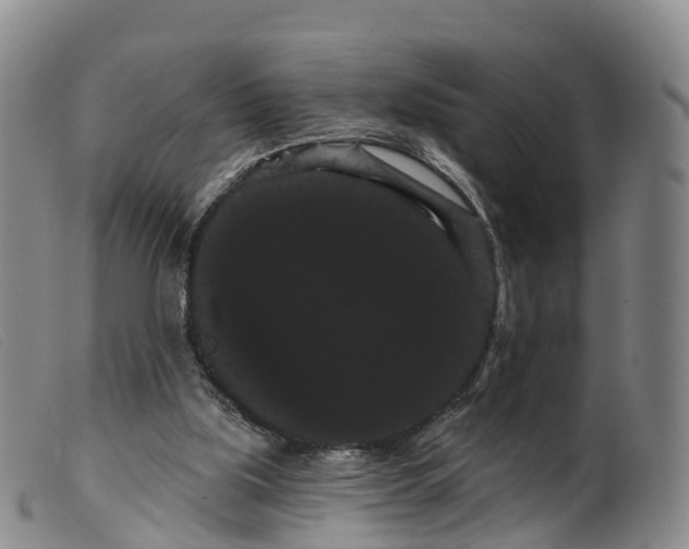 X0000099380059200805221816