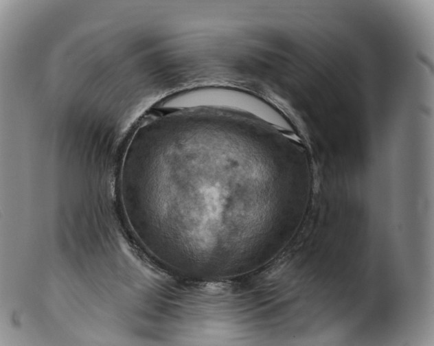 X0000099380060200805221816