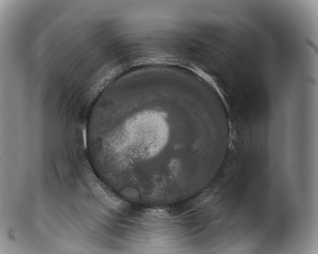 X0000099380061200805221816