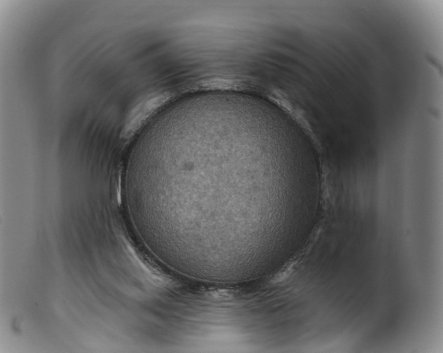 X0000099380062200805221816